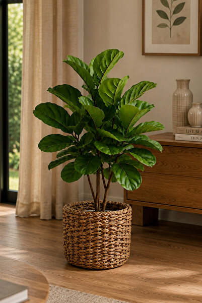 KaiHome Hasır Sepet Saksılık 35x26 cm – Bohem Pinterest Tarzı Dekoratif Saksı...