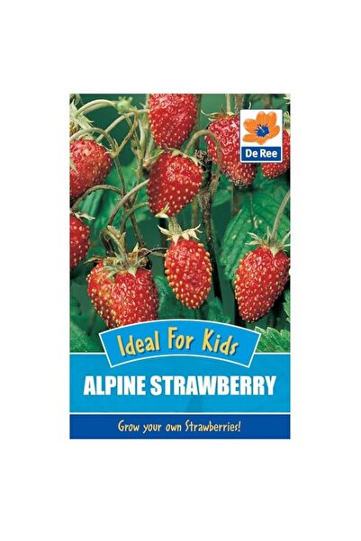 Generic De Ree Alpine Strawberry Seeds