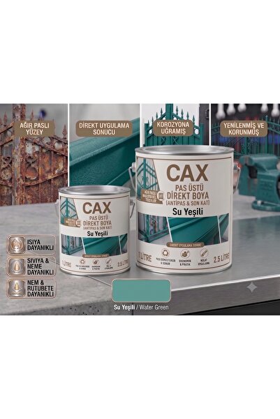 caxcolors CAX Pas Üstü Direkt Metal Boyası Antipas Dahil Koruyucu Parlak Dış ...