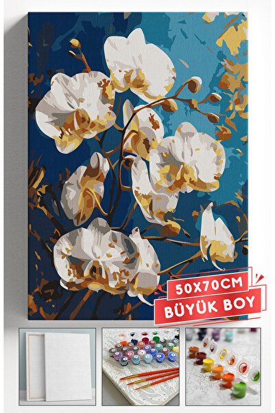 Akihabara Sayılarla Boyama Hobi Seti Çerçeveli Numaralı Tuval Fırça Boya Dahi...