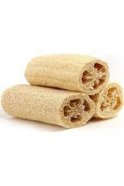 Köy Tohumları 20 Adet Tohum Lif Kabak Tohumu Kabak Tohumu Lif Kabağı Tohumu S...