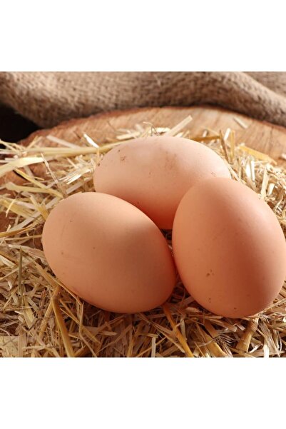 Genel Markalar Gezen Tavuk Koy Yumurtası 30 Ad