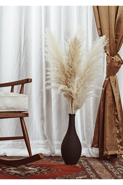 F&F HOME Seramik Vazo Ve 4 Adet Pamuklu Pampas Siyah/natural .