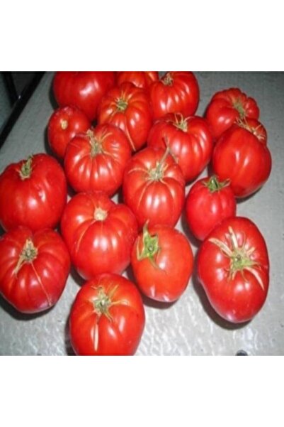 Mutlu Paket Ankara Kokulu Ayaş Köy Domates Fidesi (5 Adet)