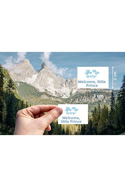 Felicita Welcome Little Prince Sticker Blue Baby Boy Matte Sticker 3X2 cm (30...