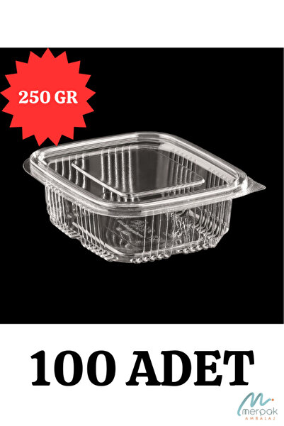 Merpak Ambalaj Plastik Saklama Kabı 250 gr 100'lü Kapaklı Sızdırmaz Kap Şeffaf Kullan At Kase