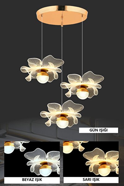 Luna Lighting Magnolya Model 3 lü Gold Kaplama 3 RENK Salon Mutfak Oturma Yat...