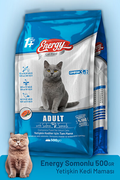Energy Somonlu Yetişkin Kedi Maması 500 G