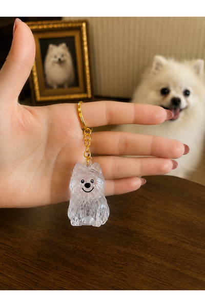 Pawellia Kedi ve Köpek Tüy Saklama Anahtarlığı