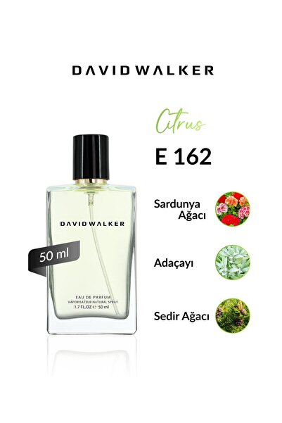 David Walker E162 Tiguan 50 ml Erkek Parfüm | Citrus