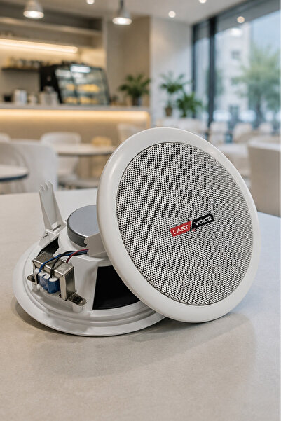 Lastvoice Tvx-5t Trafolu Alçıpan Tavan Hoparlörü 13 Cm 15 Watt