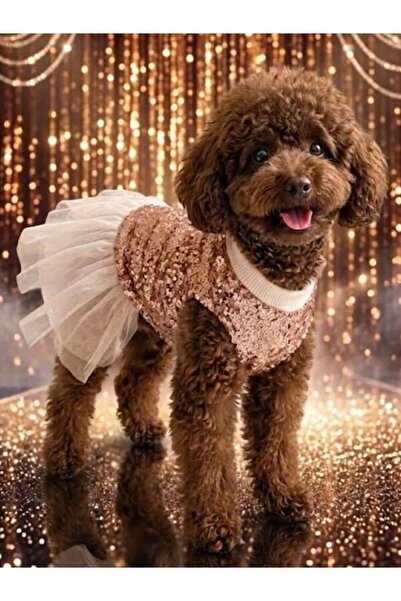 Peti Tailor Köpek Elbisesi Pullu Payetli Kat Kat Tüllü Likralı Özel Gün Köpek...