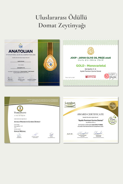 Ayolis Premium Gurme Domat Zeytinyağı 500 ml Ödüllü Erken Hasat Soğuk Sıkım Natürel Sızma Zeytinyağı
