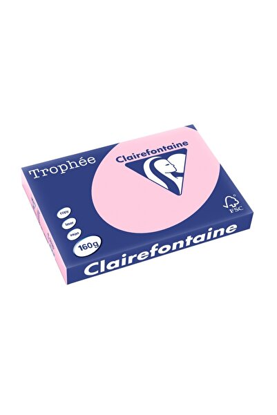 Clairefontaine Carton A3 160 g/m² culoare palidă 250/cutie roz