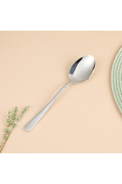Aryıldız Chrome Marine Vacuum Food Spoons Set of 6