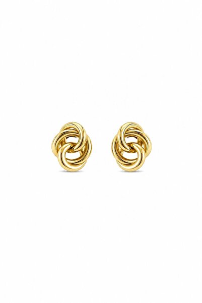 Charmist Steel Mony Earring