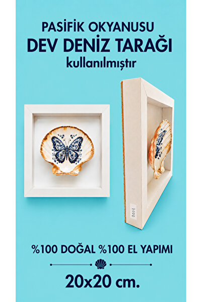 miceda art studio El Yapımı Deniz Kabuğu Tablo