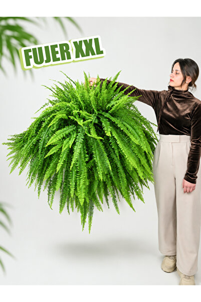 gardenkoala Fujer – Aşk Merdiveni – Nephrolepis exaltata – 21 cm Askılı Saksı