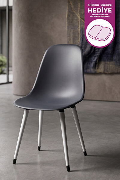 VİLİNZE Eames Beyaz Ahşap Ayak Plastik Füme Sandalye