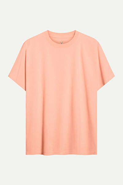 KAFT Pembe Erkek Regular Basic Tişört - %100 Pamuk | (Regular - Canyon)