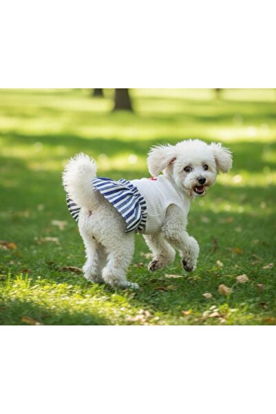 GedyCo Lady Small Breed Dog Dress with Denim Skirt