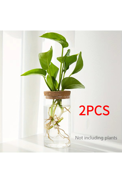 Choice3 6.5X12CM 2pcs 1pc, Hydroponics Plants Desktop Glass Planter Vase For ...