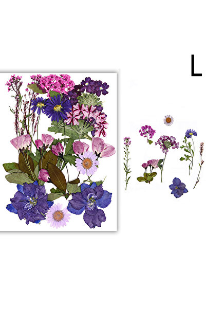 Choice7 L Dried Flowers Real Natural Plant Pressed Flower For Epoxy Resin Fil...