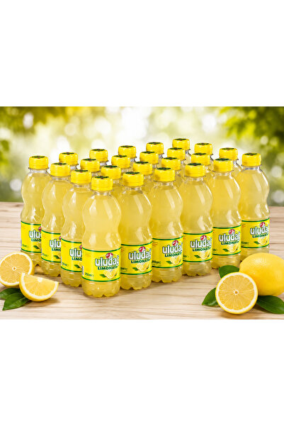 Uludağ Limonata 250ml (24'lü)