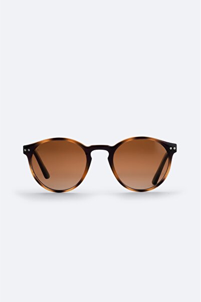 Dido Brown Round Frame Polarized Sunglasses B008806