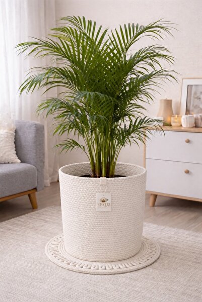 Efuliz Home Organizator decorativ multifuncțional din răchită de iută Coș pen...