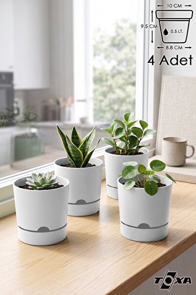 ToXA 4 Adet 0.5 Litre Beyaz Begonya Saksı Küçük Boy Tabaklı Dekoratif Mat Pla...
