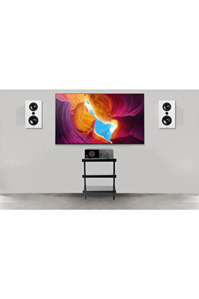 LYNGDORF Sistem Stereo cu amplif. TDAI-1120 + boxe de perete full-range FR-1,...