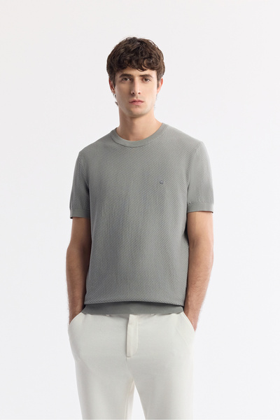 Avva Men's Gray Crew Neck Viscose Blend Knitwear Regular Fit T-Shirt B005119