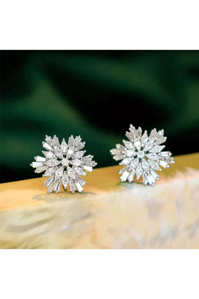 Choice E1496 Huitan Gorgeous Cubic Zirconia Stud Earrings Women for Wedding P...