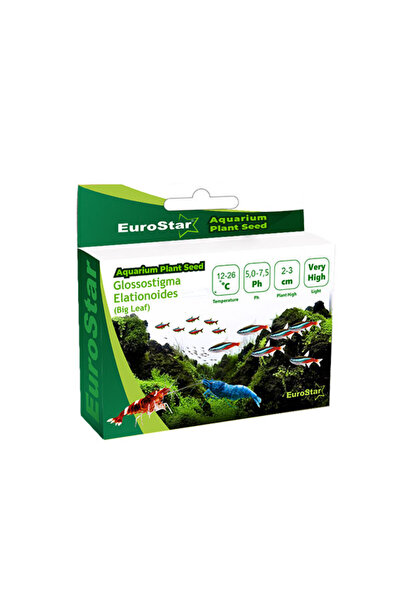 EuroStar COSMOTEX Euro Bitki Tohum (220739) Glossostigma Elatinoides