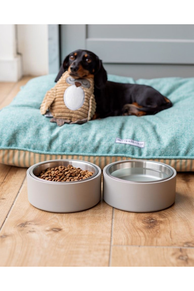 Kişiselleştirilebilir Renkli Kedi Köpek Mama Su Kabı 12Cm