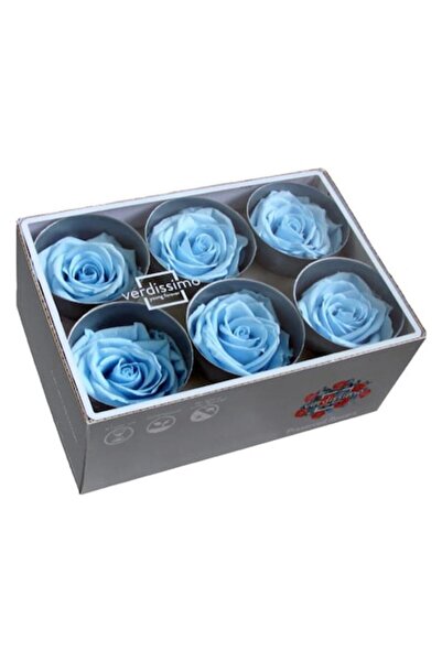 Verdissimo Box with 6 Cryogenated Roses, Light Blue