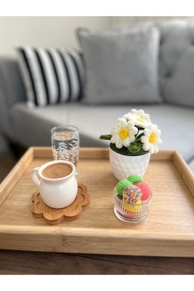 AŞIRCA Şönil mini saksı yoğun tüylü PAPATYA arajman/kahve yanı sunumluk/ev de...