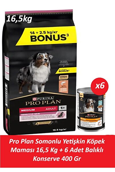 Pro Plan Somonlu Yetişkin Köpek Maması 16,5 Kg + 6 Adet Balıklı Konserve 400 Gr