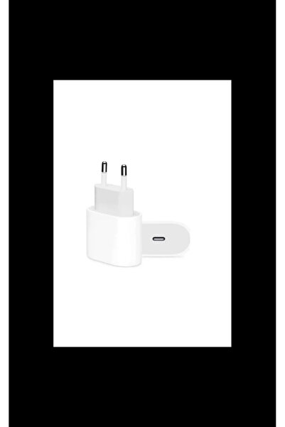 Orjinal 20 Watt Type-c Hızlı Şarj Adaptör Garantili