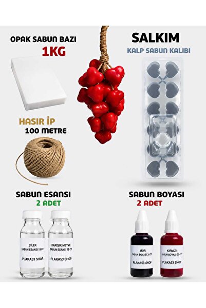 Plaka53 Shop Salkım Kalp Sabun Yapım Seti