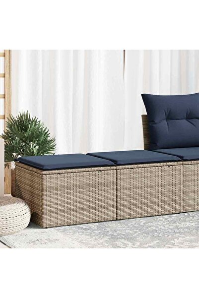 vidaxl Set mobilier gradina cu perne 2 piese gri poliratan/lemn acacia