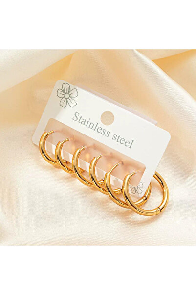 Bozhi Steel Earrings Special Gift