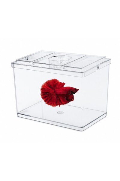 OEM Acvariu cu capac, Design premium, Ideal pentru pești ornamentali, 700ml, ...