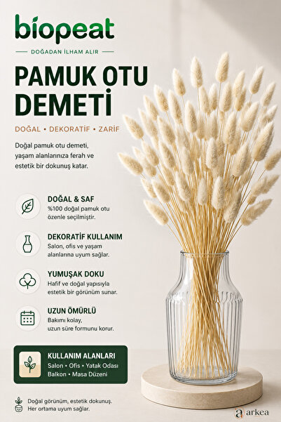 biopeat Pamuk Otu Demeti & Dekoratif Cam Vazo Seti – Doğal Kuru Çiçek Dekoru ...