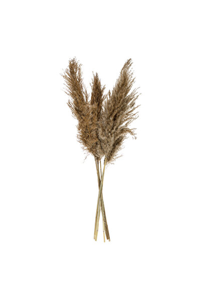 OEM Iarbă de Pampas Bej 85cm - 5 bucăți