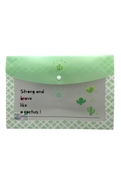 Limmy Sea Shell Green Patterned Snap Envelope File - 1 Piece