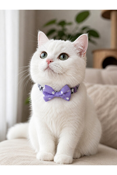 Masc Ozc Mor Lastik Şeritli Papyon Kedi Köpek Tasma 33cm