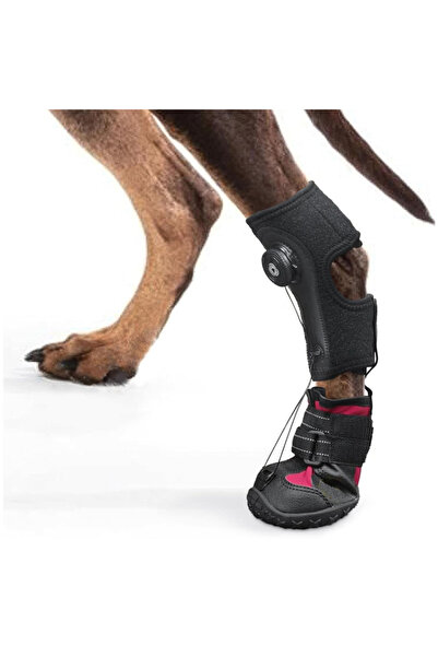 Choice1 S Dog Foot Brace Breathable Integrated Abrasion Proof Non Slip Sole B...