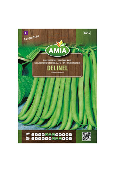 Amia Seminte de fasole verde pitica Delinel, 35 g